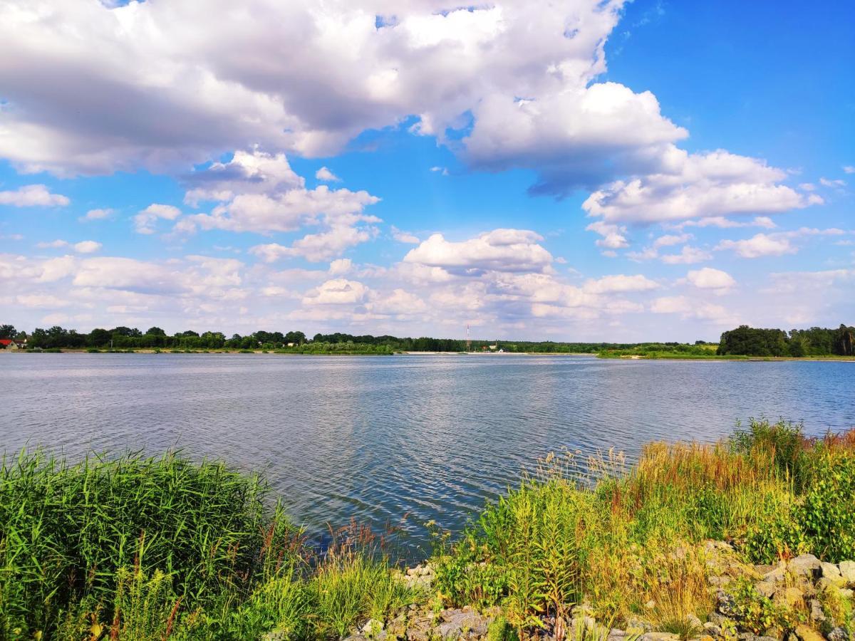 Miodowa Sadyba Domki Caloroczne Kluczbork Ligota Zamecka エクステリア 写真