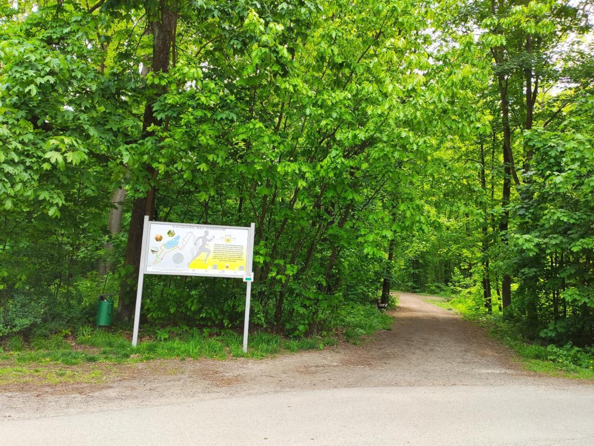Miodowa Sadyba Domki Caloroczne Kluczbork Ligota Zamecka エクステリア 写真