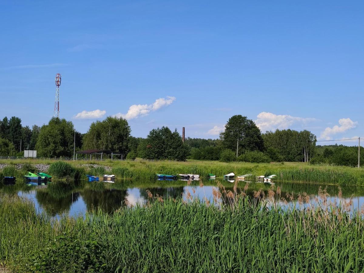 Miodowa Sadyba Domki Caloroczne Kluczbork Ligota Zamecka エクステリア 写真