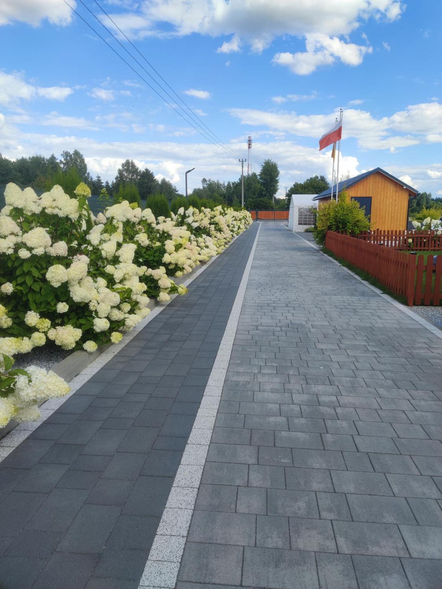 Miodowa Sadyba Domki Caloroczne Kluczbork Ligota Zamecka エクステリア 写真