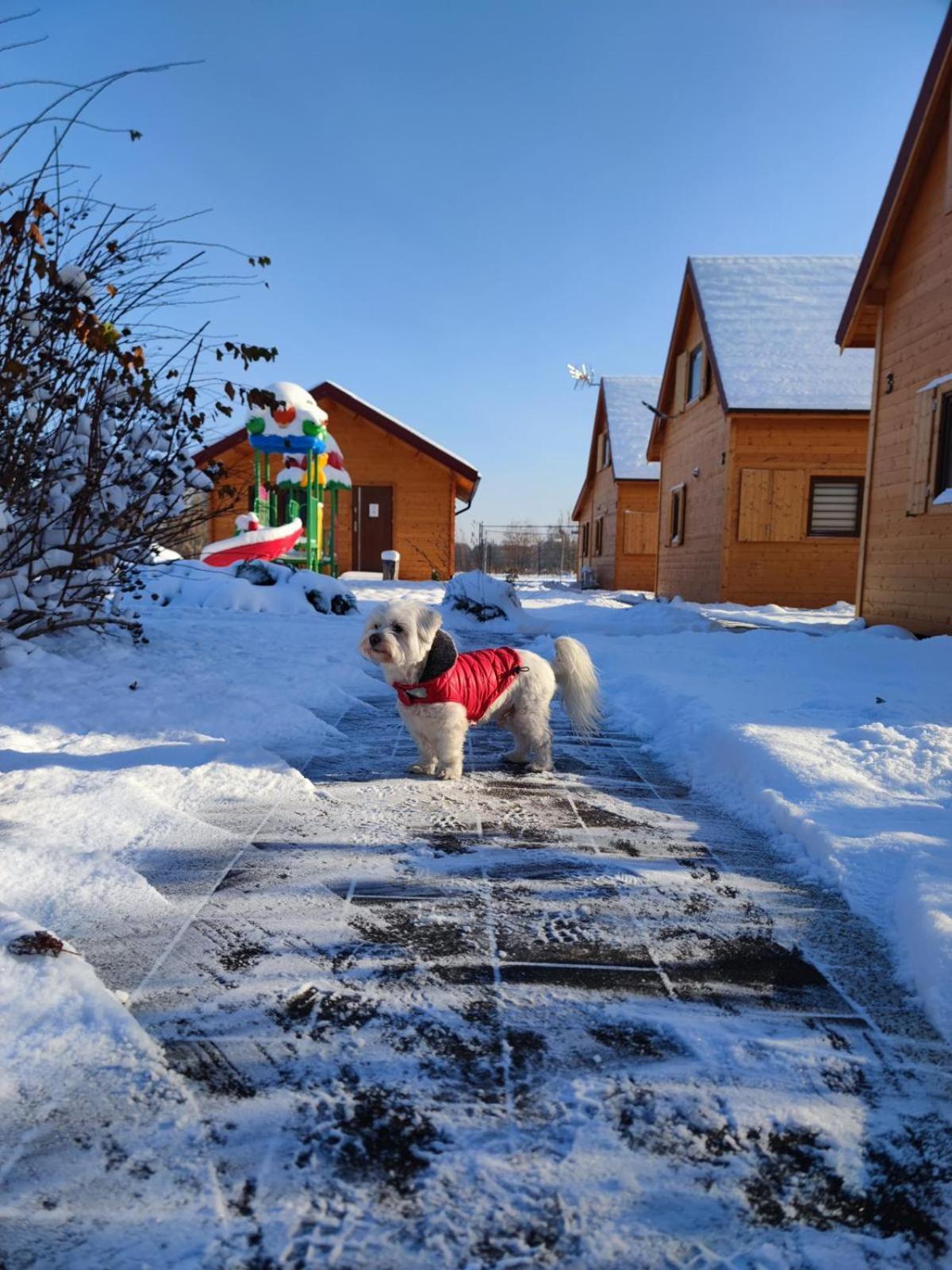 Miodowa Sadyba Domki Caloroczne Kluczbork Ligota Zamecka エクステリア 写真